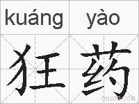 狂药的拼音