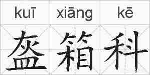 盔箱科的拼音