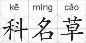 科名草的拼音