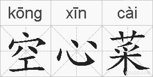 空心菜的拼音