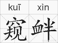 窥衅的拼音