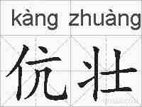 伉壮的拼音