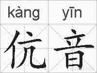 伉音的拼音