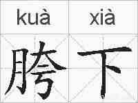 胯下的拼音