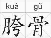 胯骨的拼音