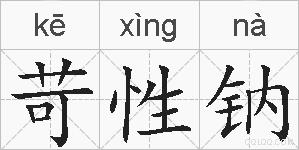 苛性钠的拼音