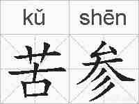 苦参的拼音