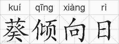 葵倾向日的拼音