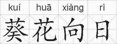 葵花向日的拼音