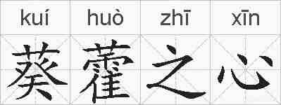 葵藿之心的拼音