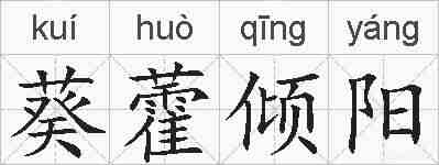 葵藿倾阳的拼音