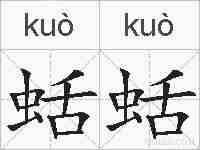 蛞蛞的拼音