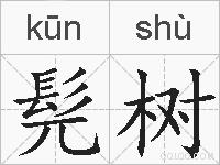 髡树的拼音