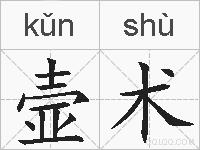 壸术的拼音