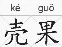壳果的拼音