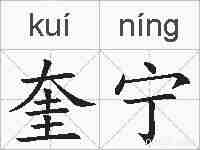 奎宁的拼音