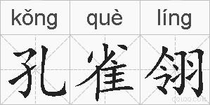 孔雀翎的拼音