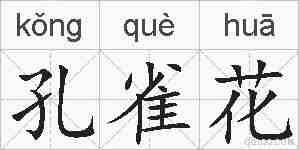 孔雀花的拼音