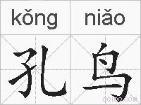 孔鸟的拼音