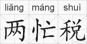 两忙税的拼音
