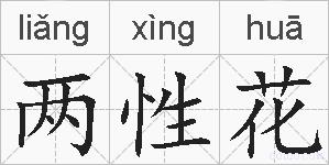 两性花的拼音