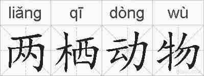 两栖动物的拼音