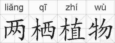 两栖植物的拼音