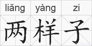 两样子的拼音