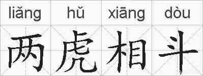 两虎相斗的拼音