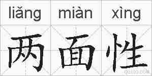 两面性的拼音