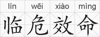 临危效命的拼音