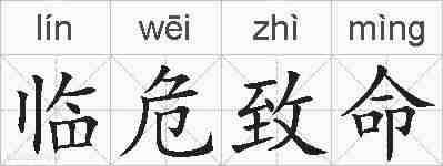 临危致命的拼音
