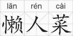 懒人菜的拼音