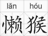 懒猴的拼音
