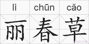 丽春草的拼音
