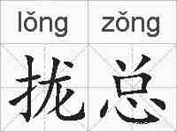 拢总的拼音