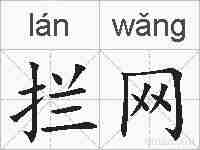 拦网的拼音