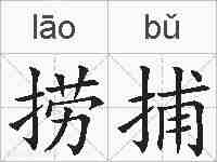 捞捕的拼音