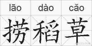捞稻草的拼音