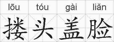 搂头盖脸的拼音