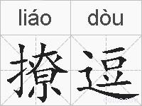 撩逗的拼音