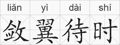 敛翼待时的拼音