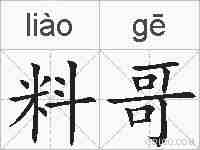 料哥的拼音