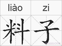 料子的拼音