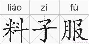 料子服的拼音
