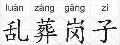 乱葬岗子的拼音