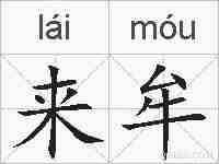 来牟的拼音
