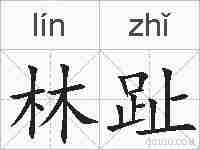 林趾的拼音