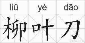 柳叶刀的拼音