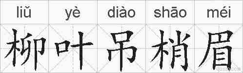 柳叶吊梢眉的拼音